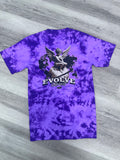 Evolve blessed
